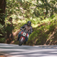 Image for article titled The 2021 Ducati Monster Is A More Refined Kind Of Wild